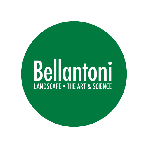 Bellantoni Landscape