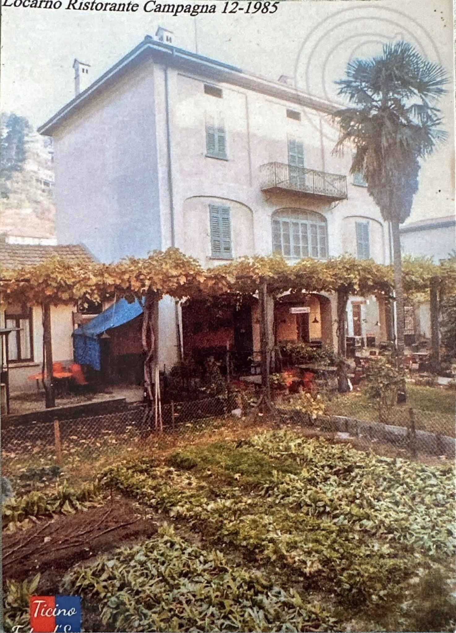 Casa a Locarno con veranda coperta di viti, palme e orto sul davanti.