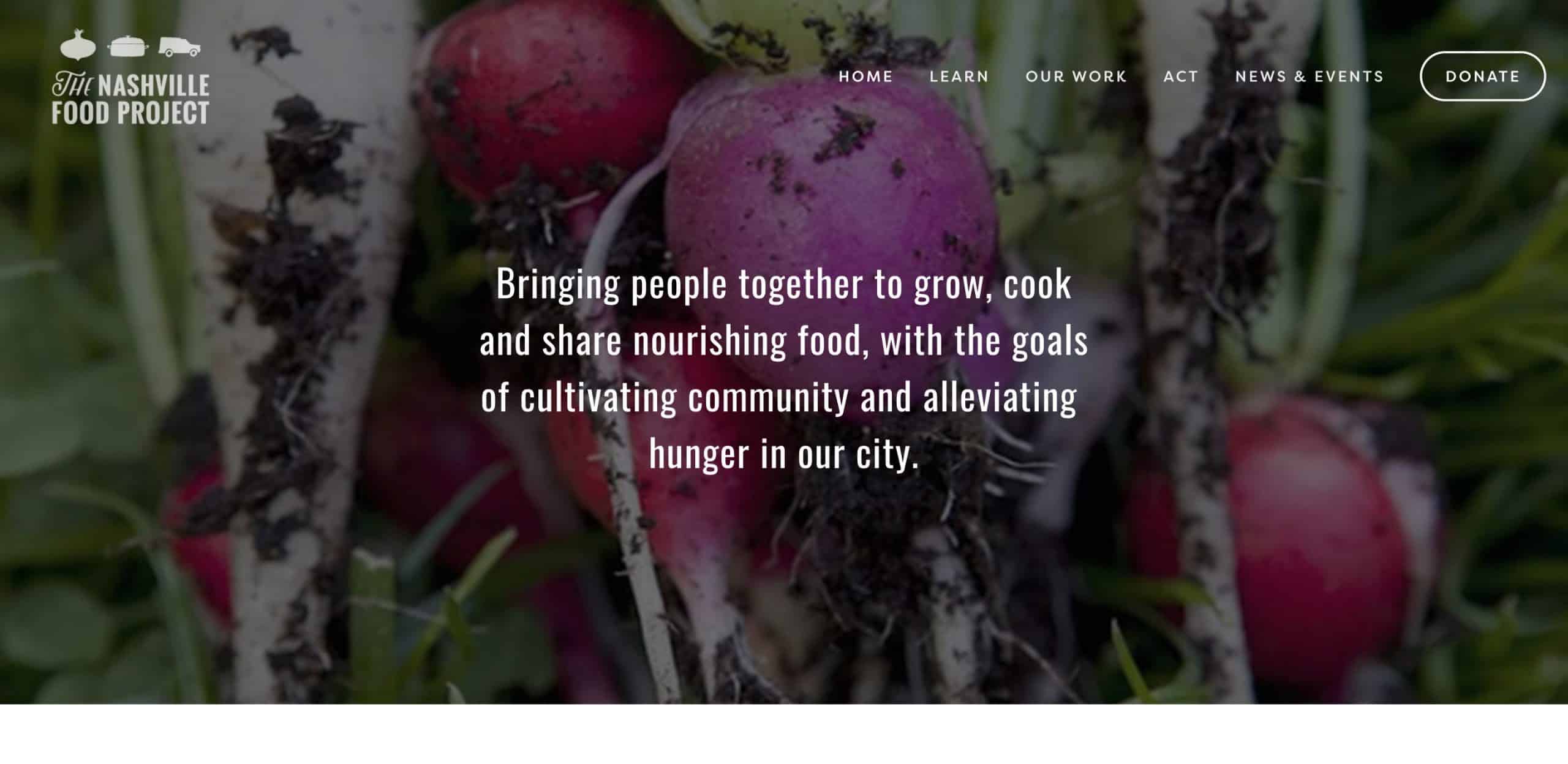 nonprofit website with donate button in header