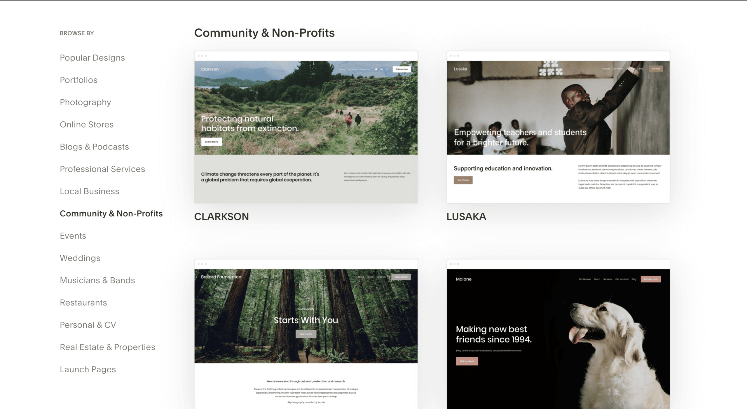 examples of nonprofit website templates