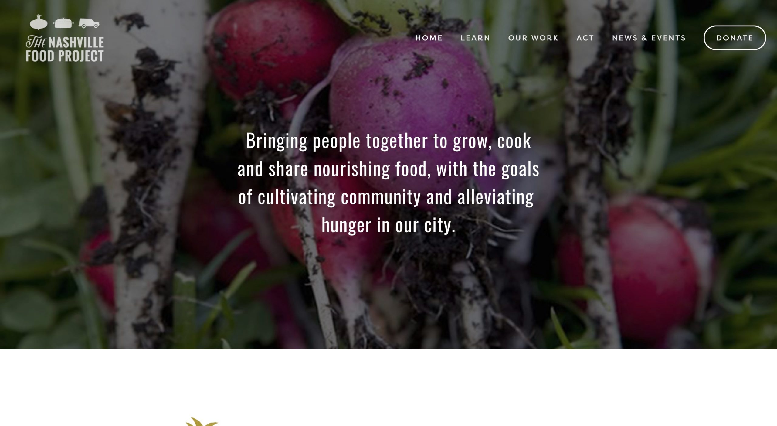 nonprofit website with donate button in header