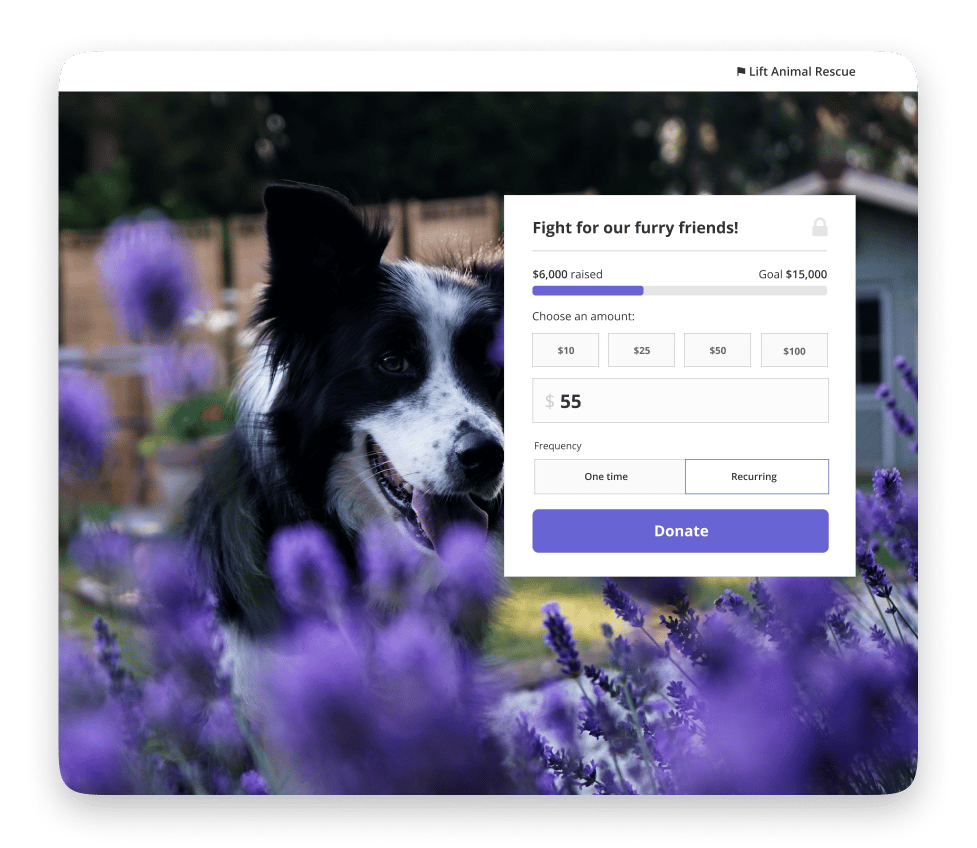 Screenshot of a Kindful donation page that has a fundraising thermometer
