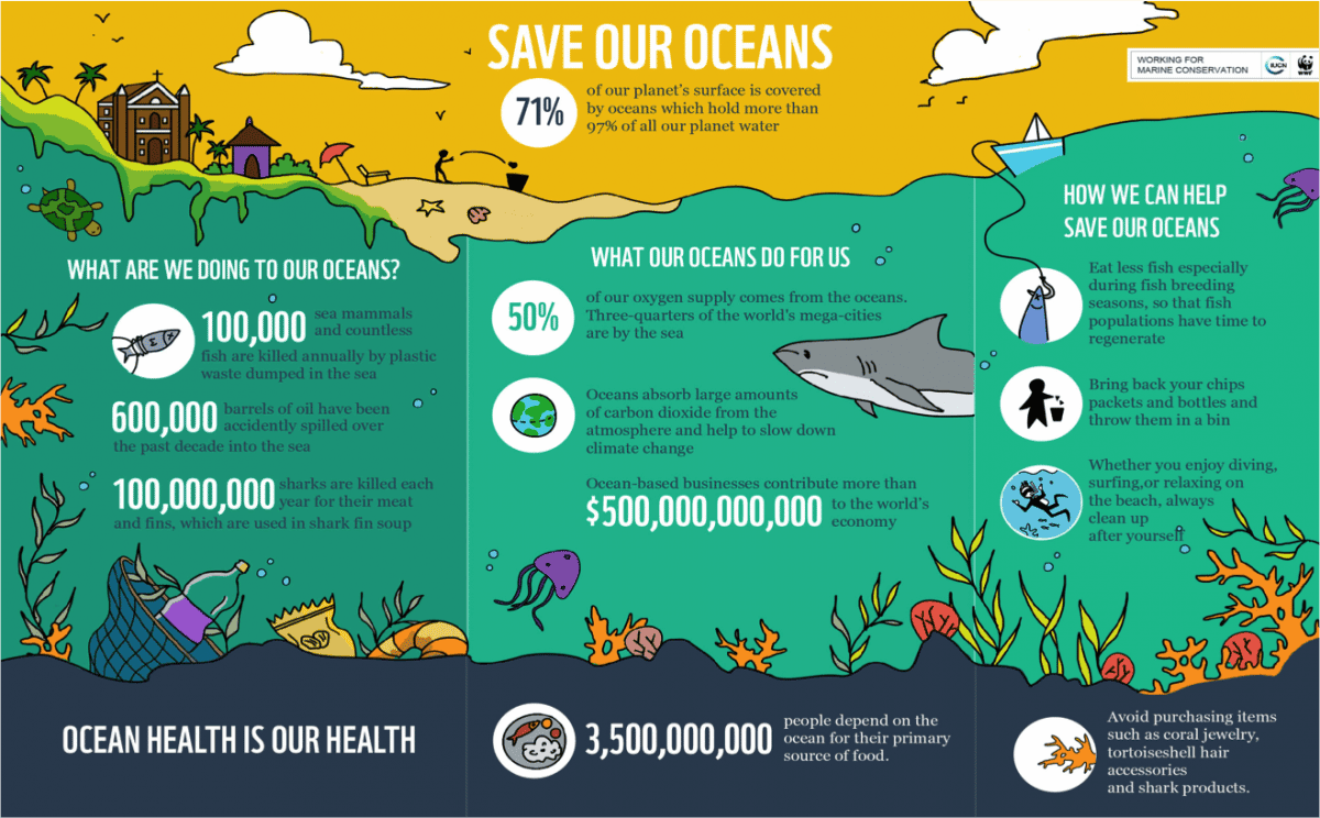 example of a nonprofit infographic