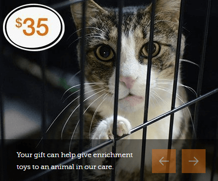 This image shows the ASPCA donation page with a suggested donation amount of $35 dollars highlighted. There is a photo of a cat in a crate along with the words “Your gift can help give enrichment toys to an animal in our care.” 