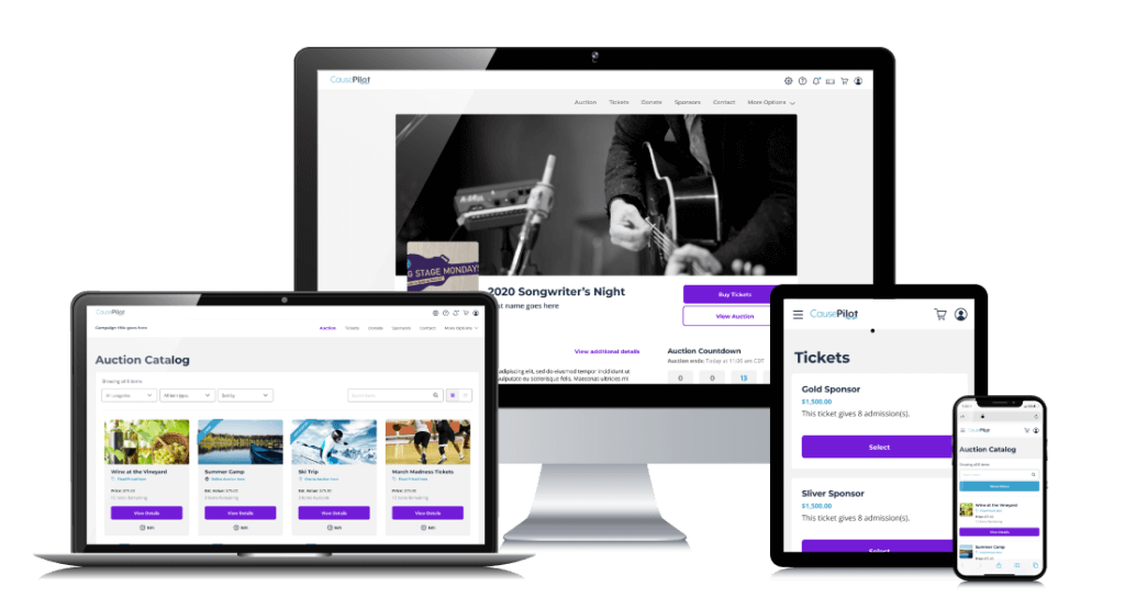 Example of CausePilot's auction software