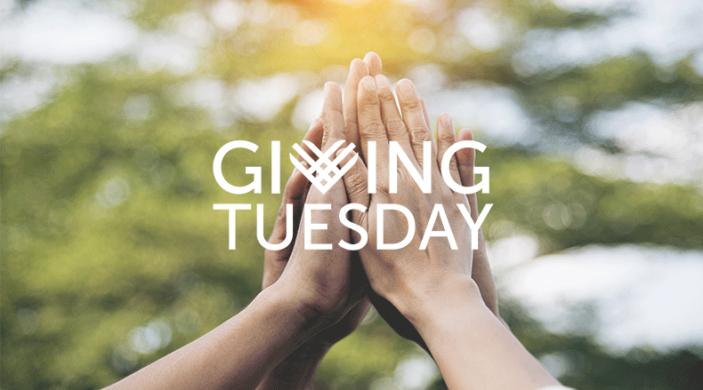 3 Giving Tuesday Campaign Ideas