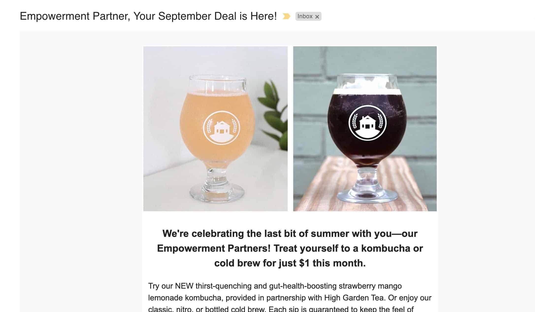 example of an exclusive newsletter in fundraising portfolio