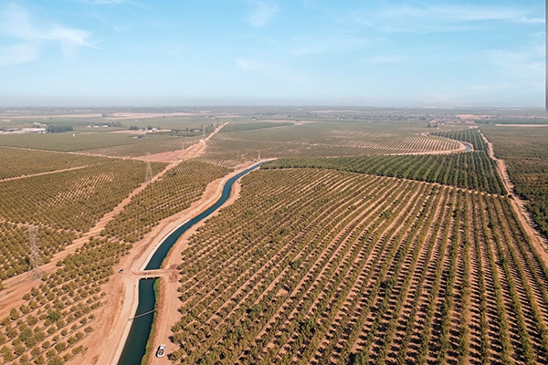 Aerial view of expansive agricultural fields with evenly spaced rows of crops and an irrigation canal running through the center.
