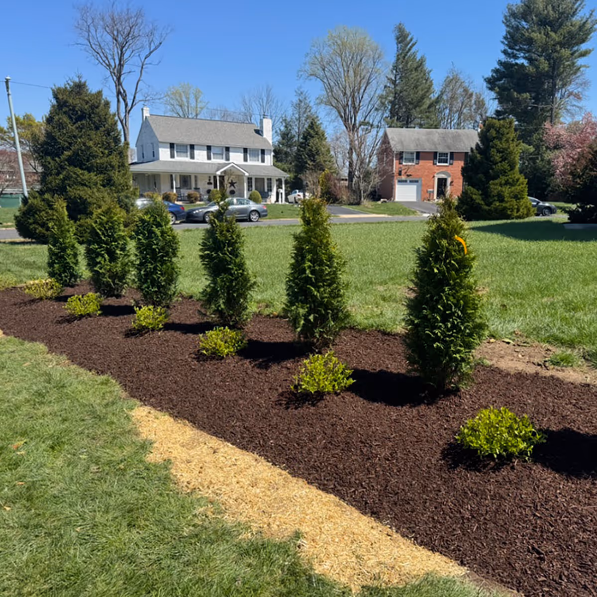 Fresh mulch landscaping upgrade by Santivasci Landscaping