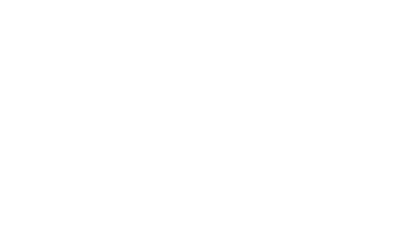 Logo do Execução Máxima