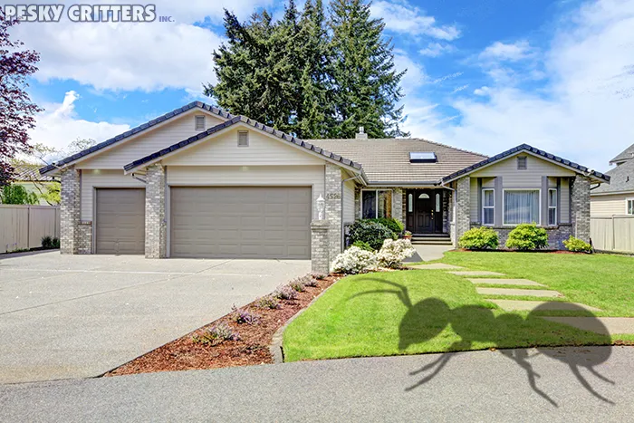 photo of a client's home