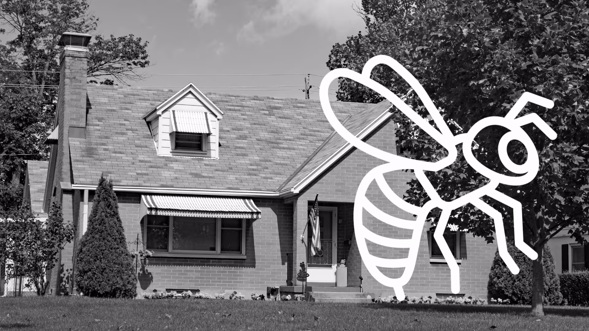 Stinging insect Control