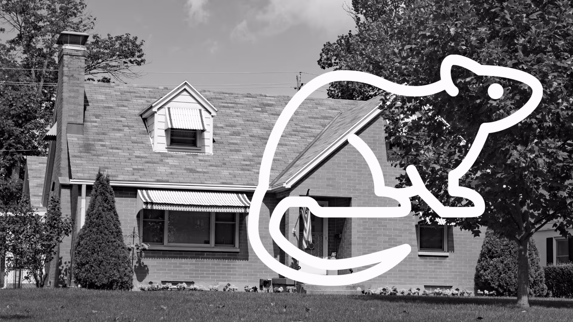 Rodent Control Services