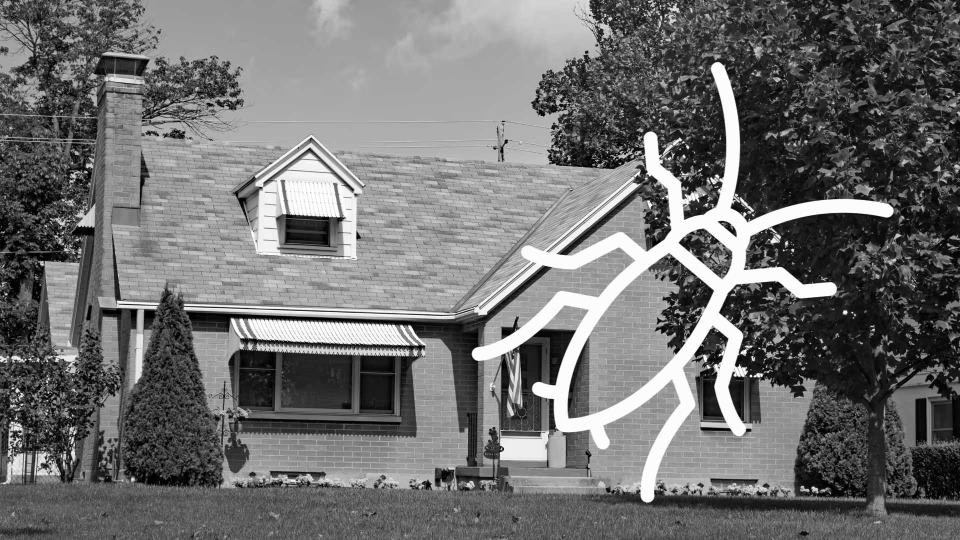 Brick house with multiple windows and awnings, front yard with shrubs and tree, overlaid with a large white cockroach illustration.