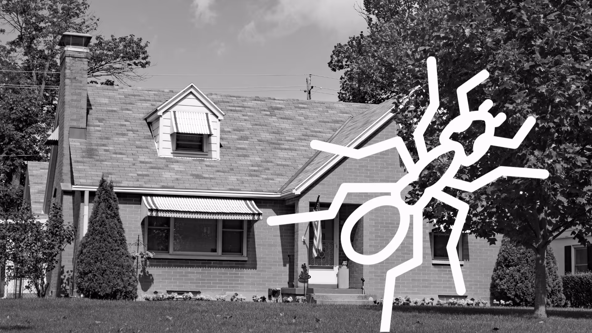 Ant Control Services