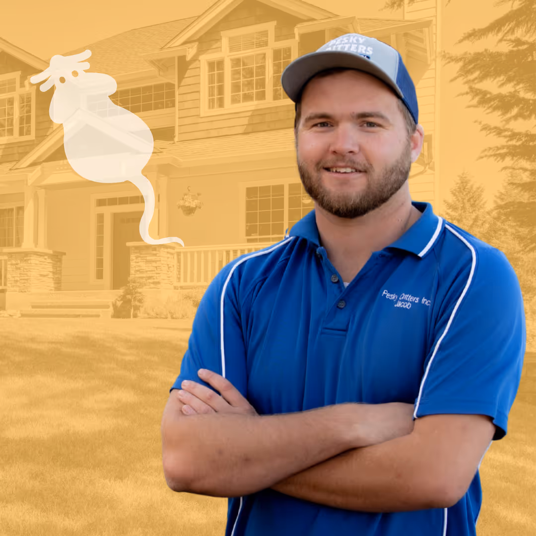 Pest Control Tech Treating Mice