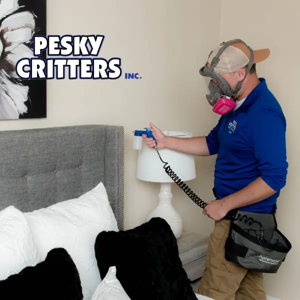 Pest Control Tech Treating For Bed Bugs