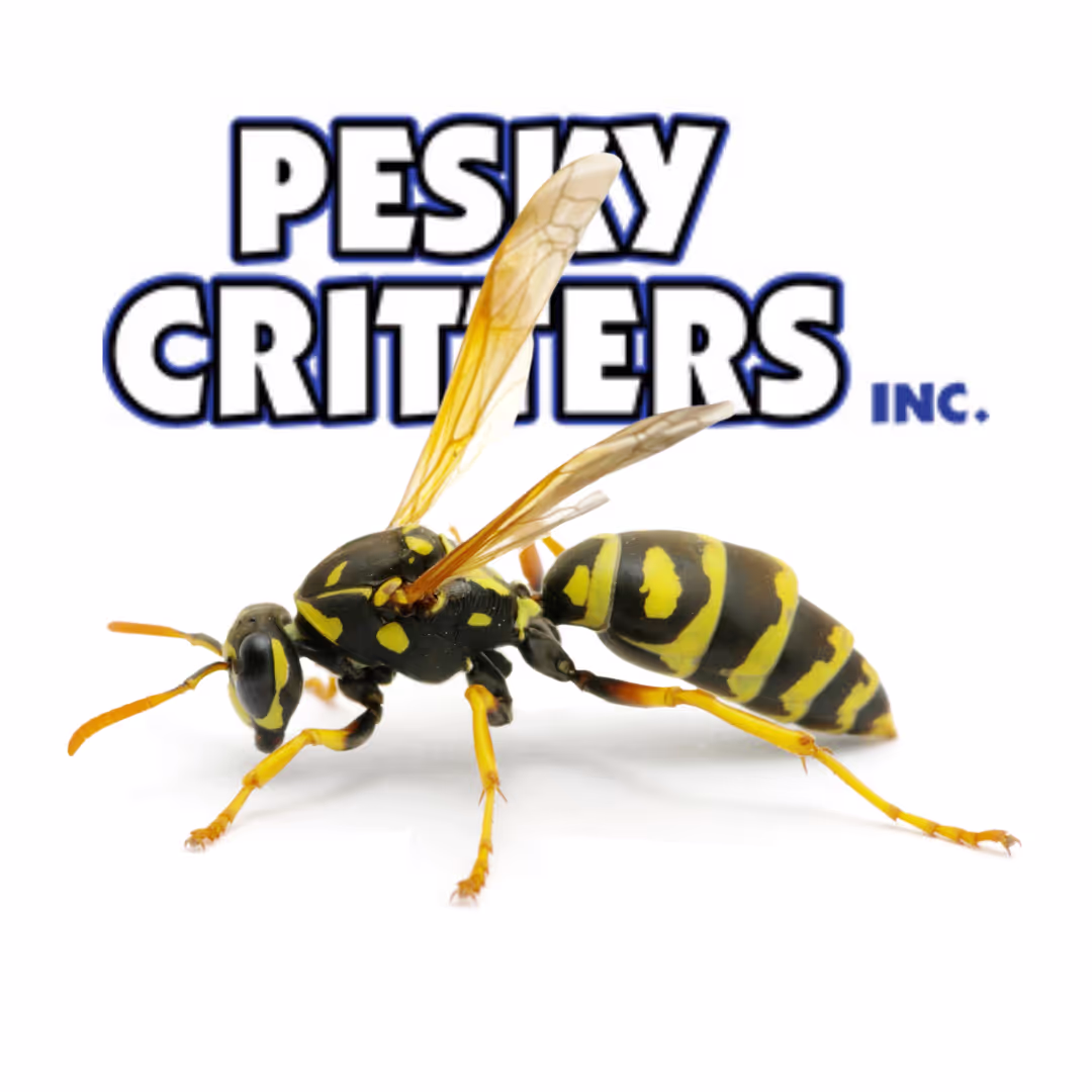 Wasp Exterminator With Logo