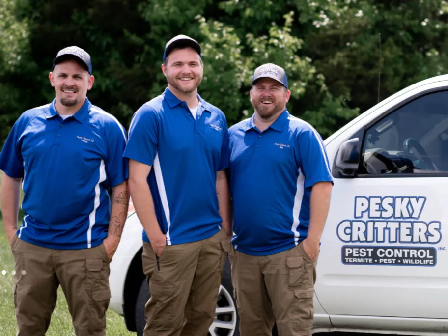 Pest Control For Your Business Team