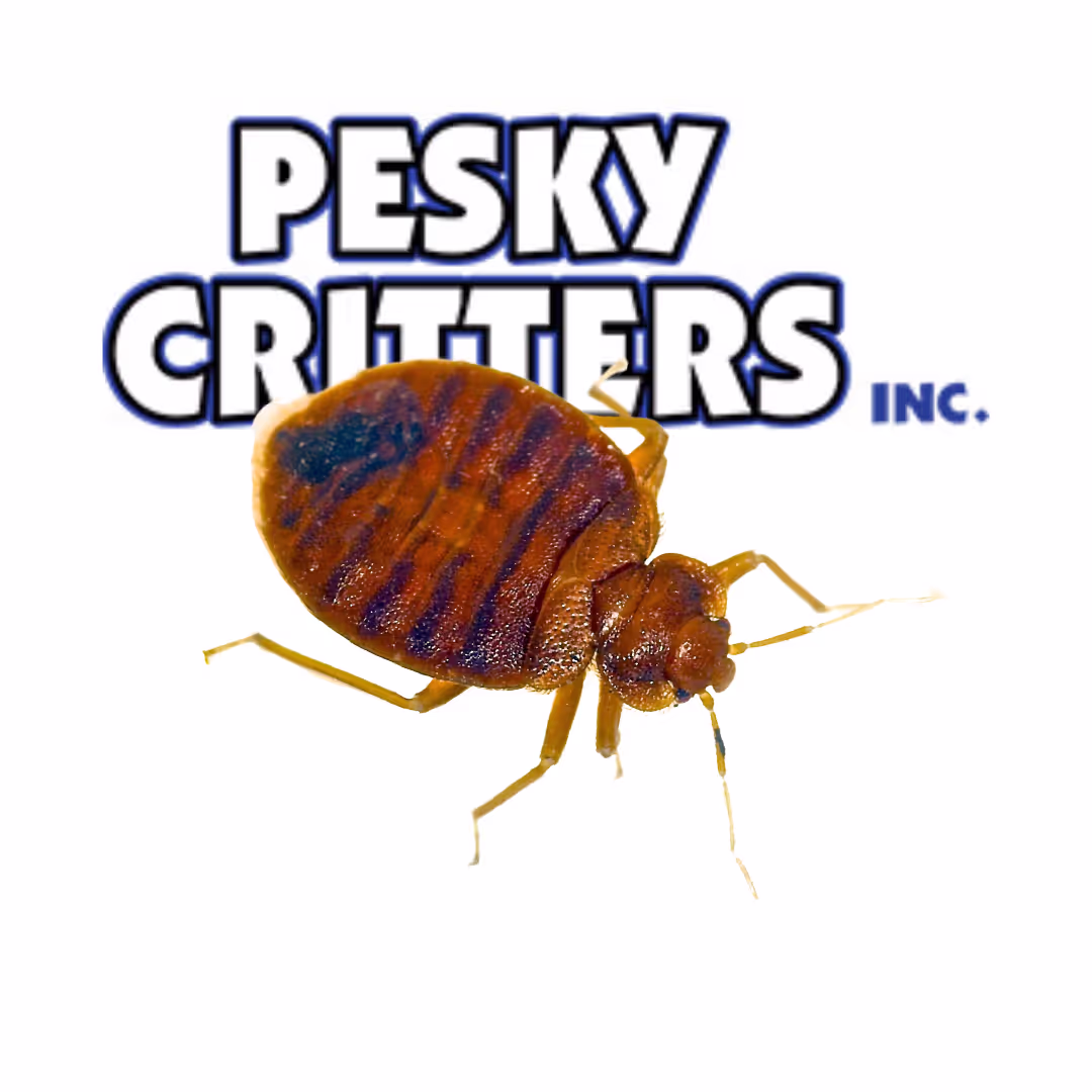 Bed Bug Exterminator With Logo