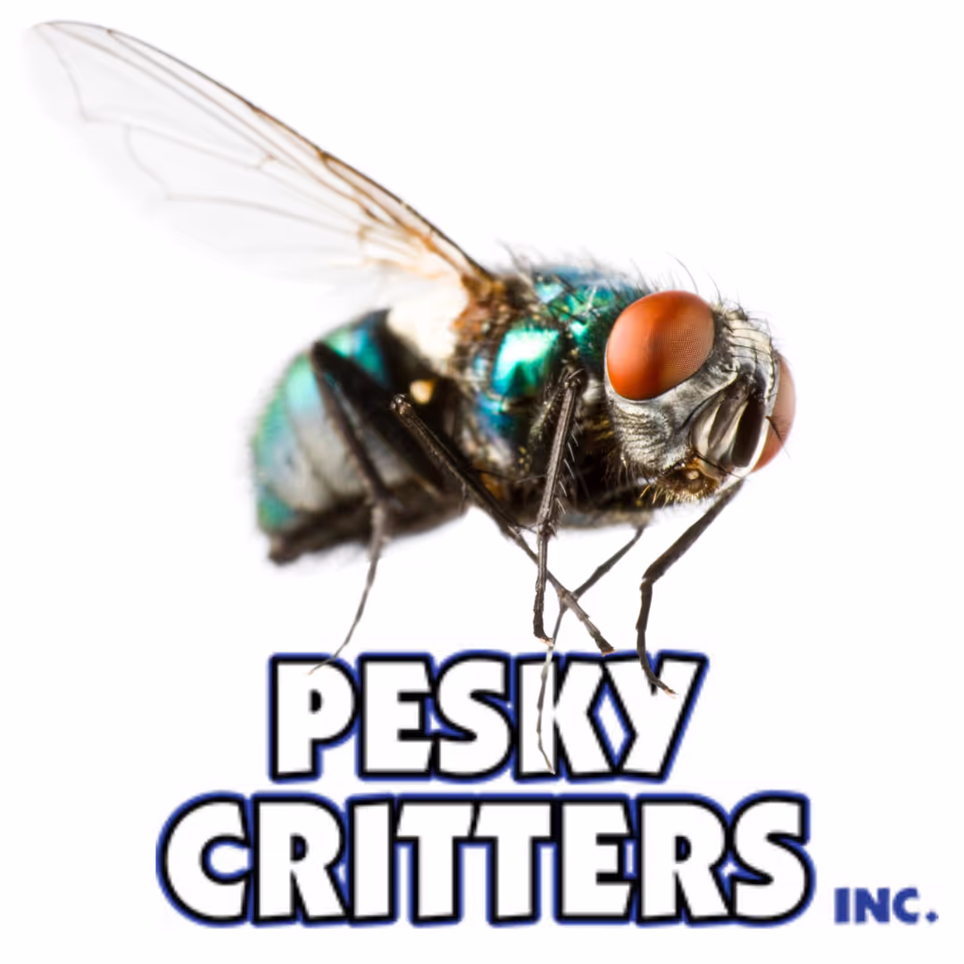 Fly Exterminator With Logo