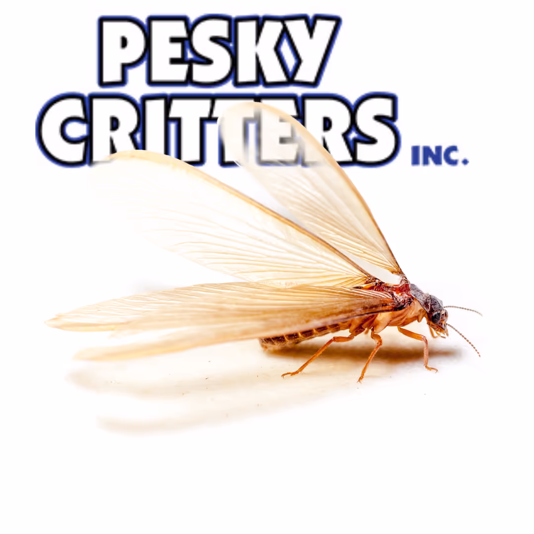 Termite Exterminator bowling green With Logo