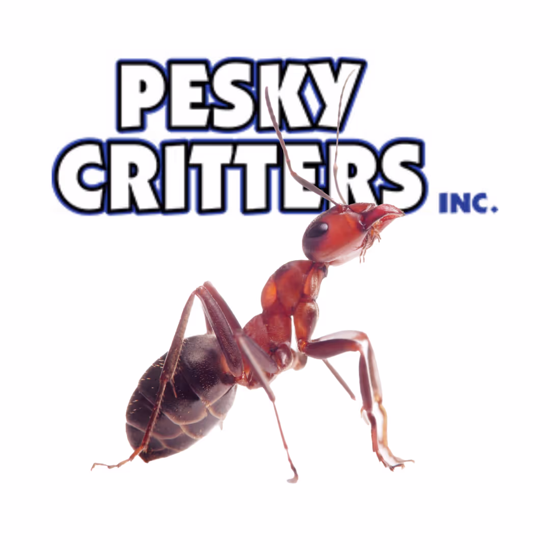 Ant Exterminator Bowling Green With Logo