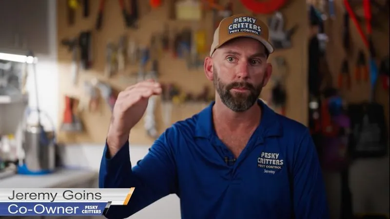 Pesky Critters Video