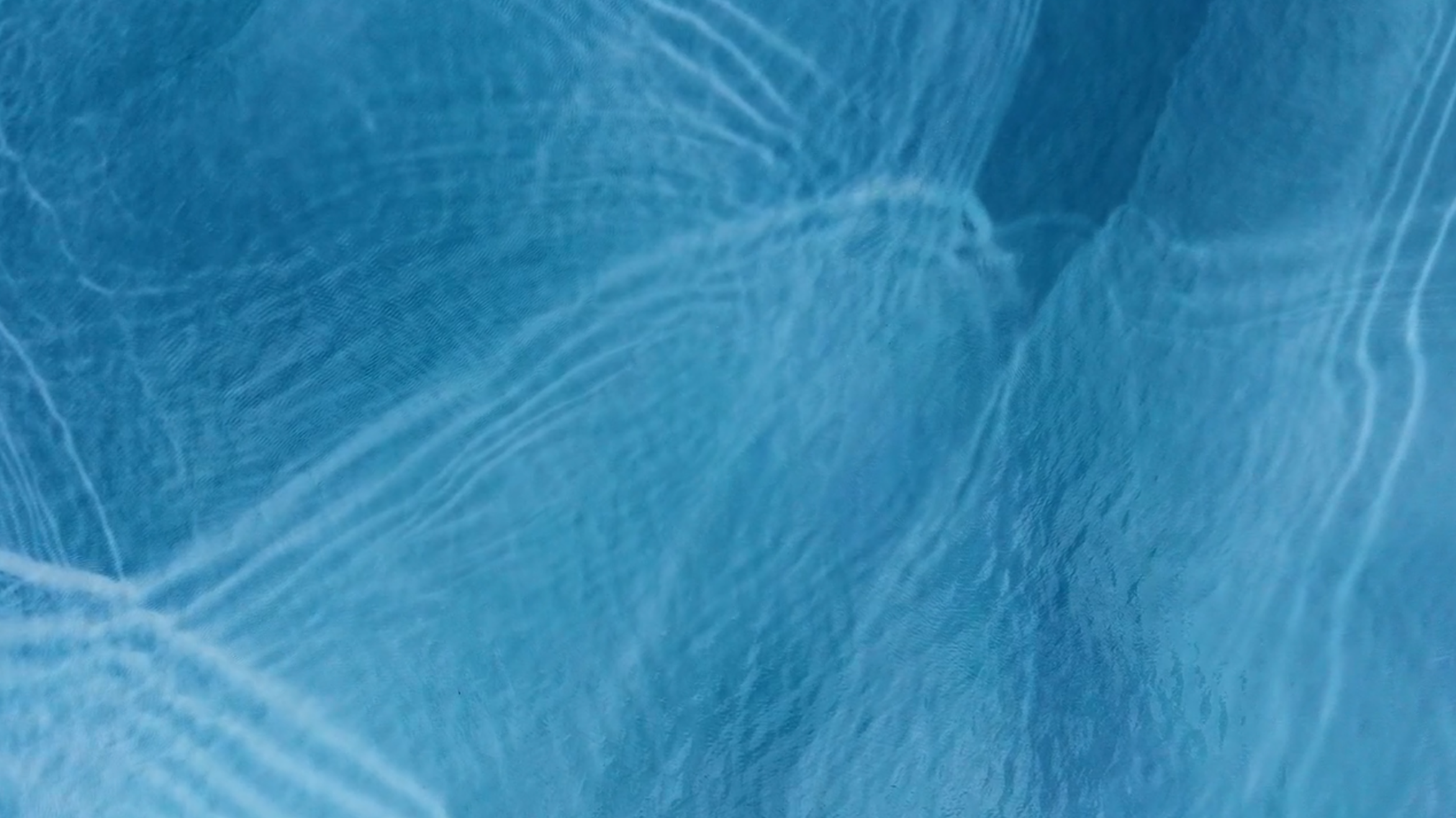 Art of Accomplishment Connection Course — 3-week online program