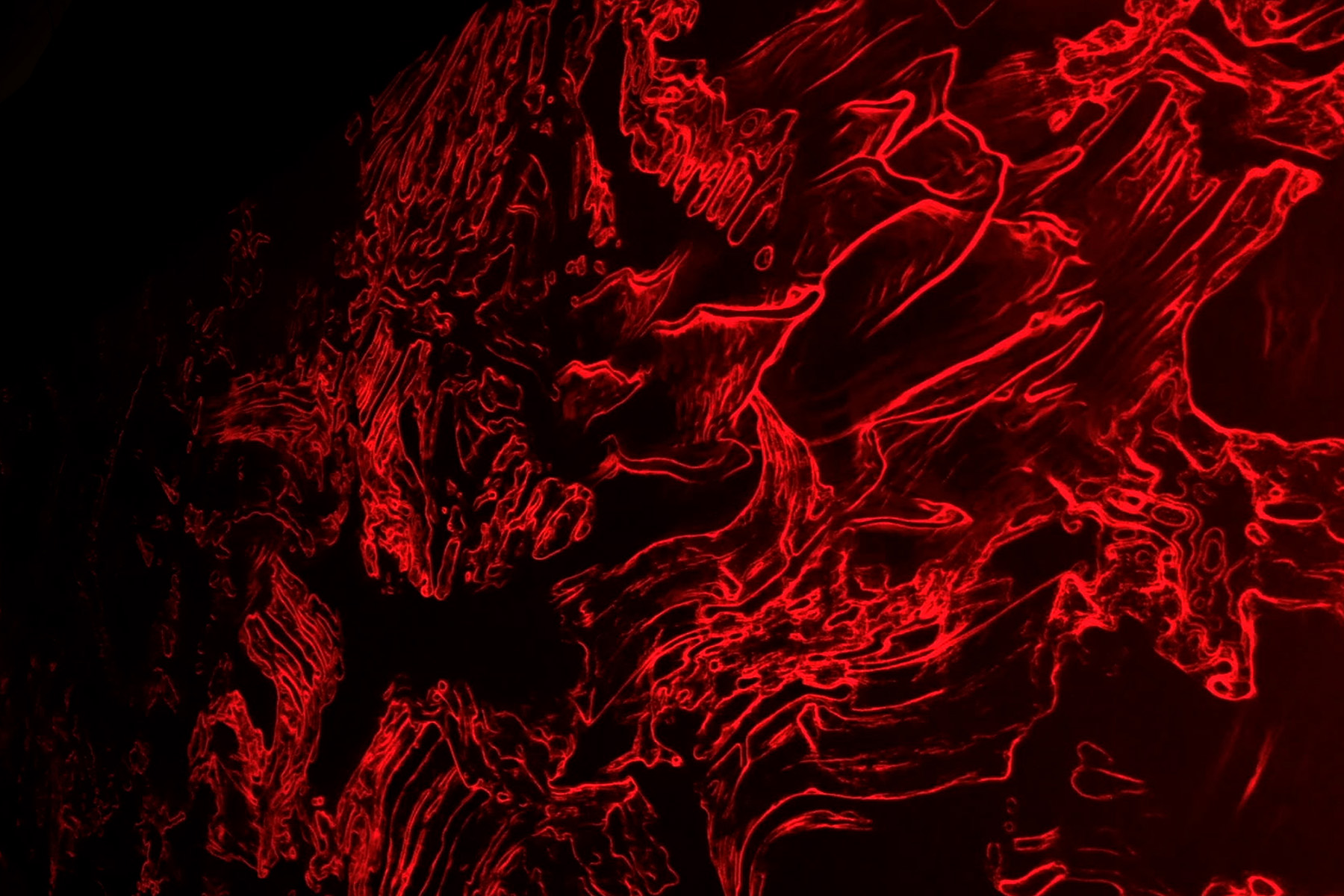 https://player.vimeo.com/progressive_redirect/playback/1214698437/rendition/1080p/file.mp4%20%281080p%29.mp4?loc=external&signature=5436b3fce7b7c50e877473c15c3f4df7cbc6295cf15566da3295bf9bc6c2244d