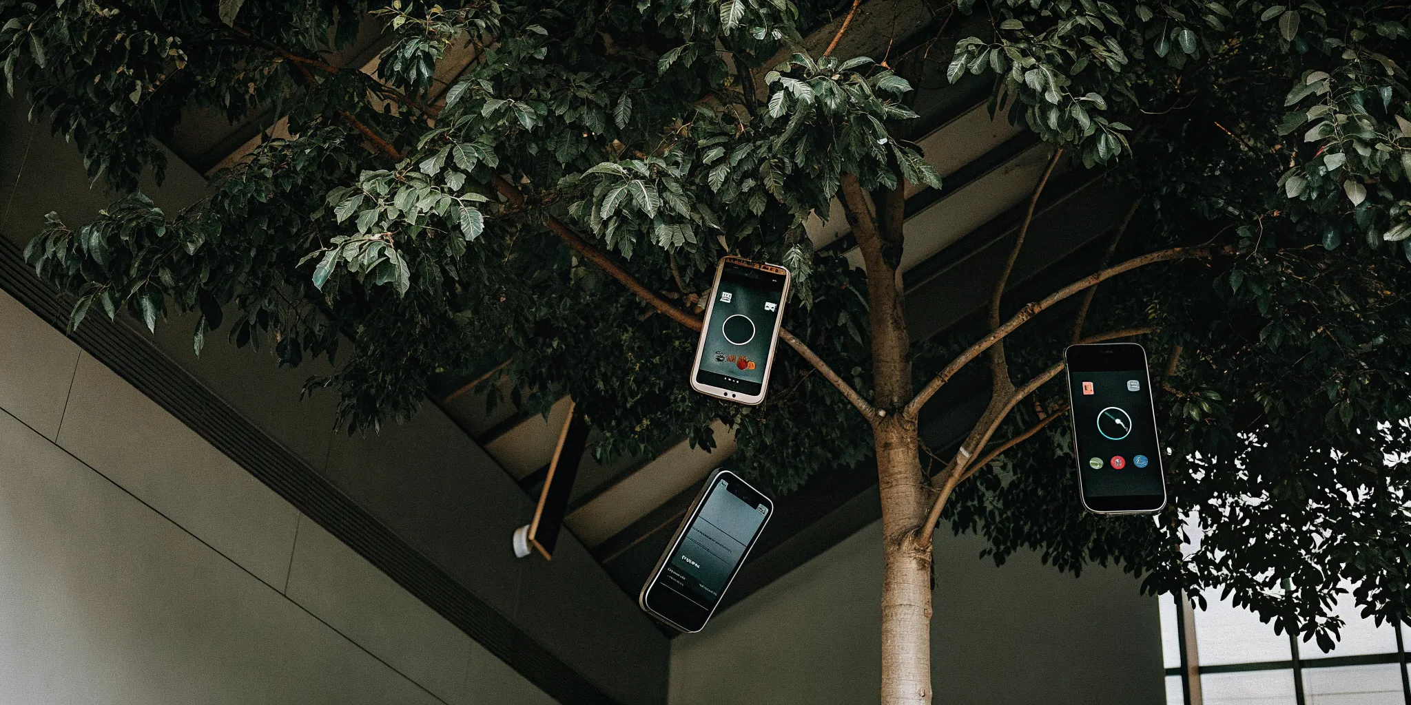 A tree with smartphones offering AI coaching apps for new leaders.