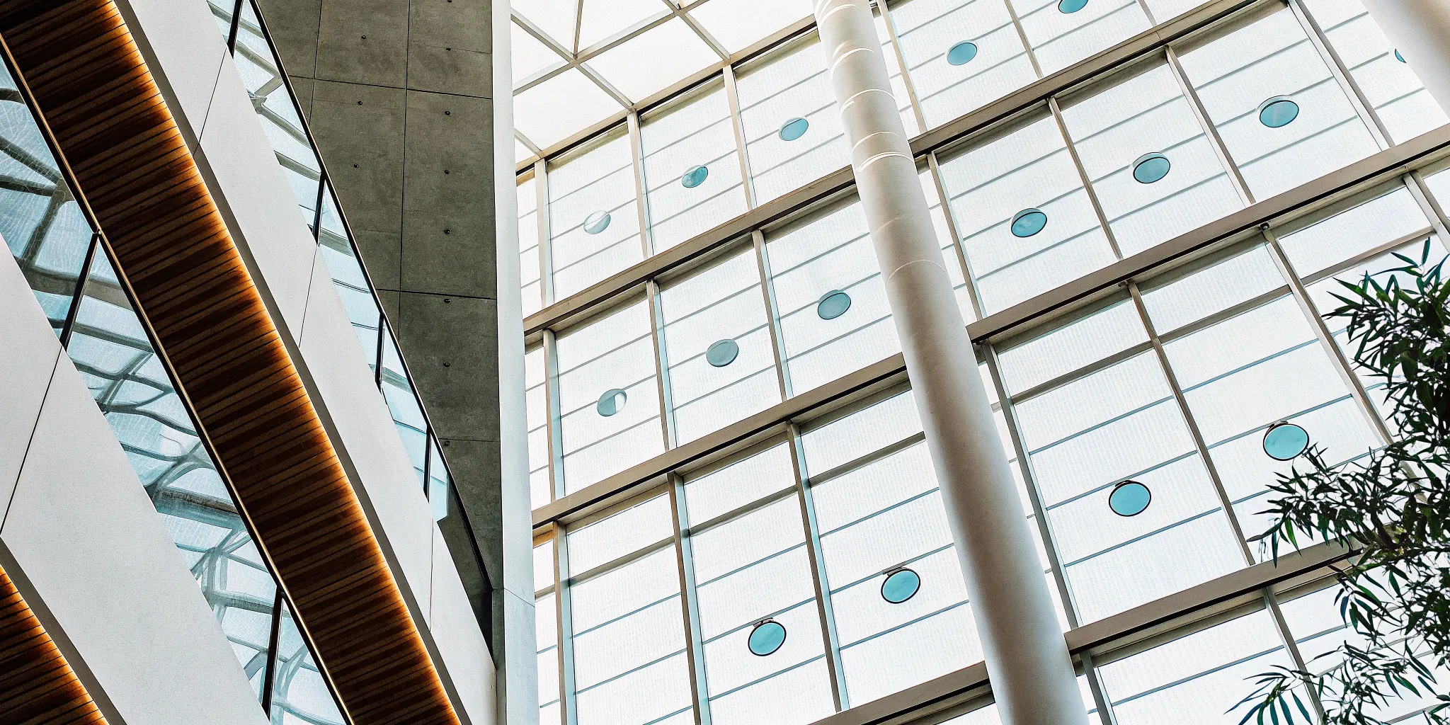 A modern office setting for exploring a free trial of a leadership coaching app.