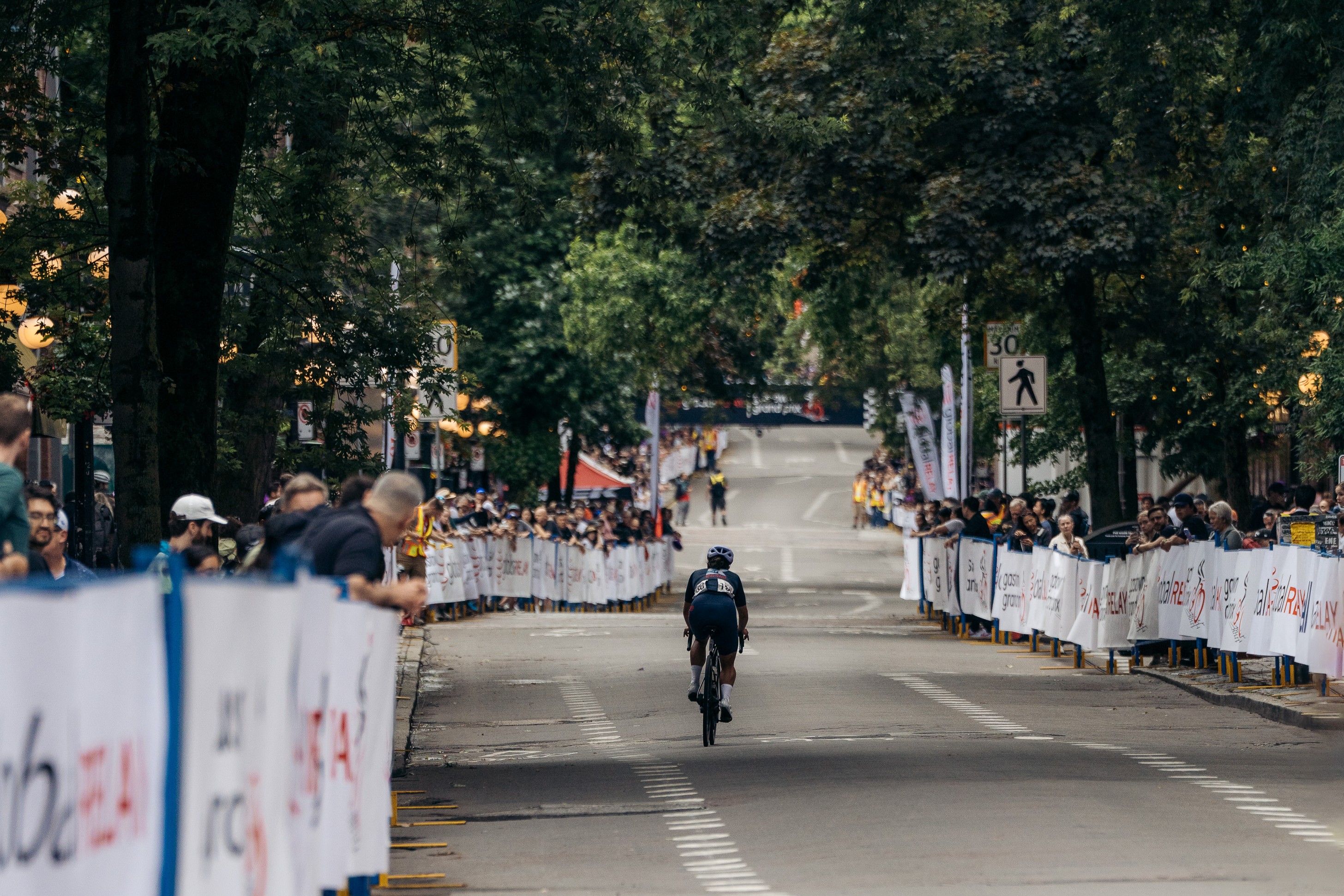 Cyclist riding on a tree-lined street during a race, with spectators behind barriers on both sides.