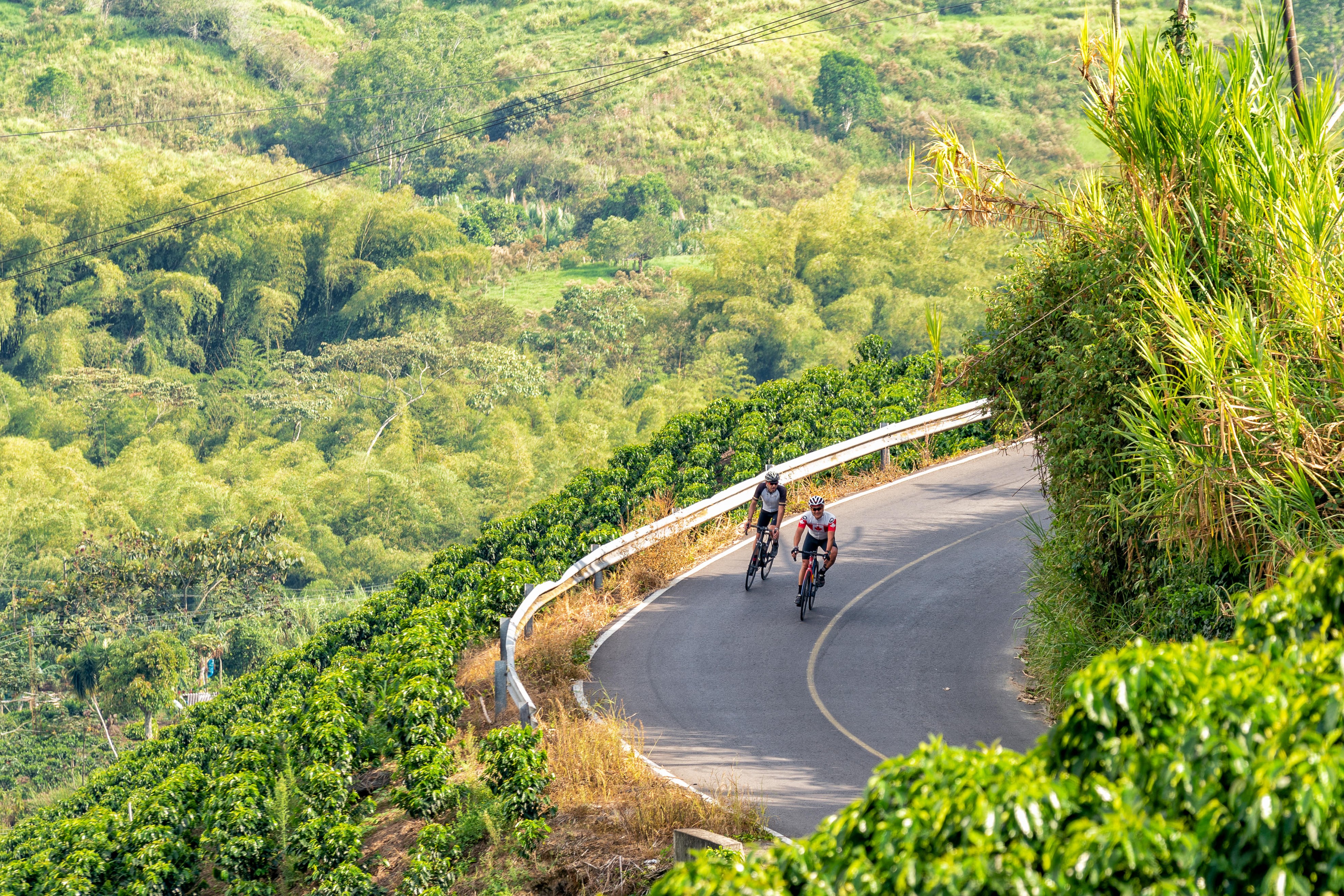 Two cyclists riding on a winding mountain road surrounded by lush green vegetation and trees.
