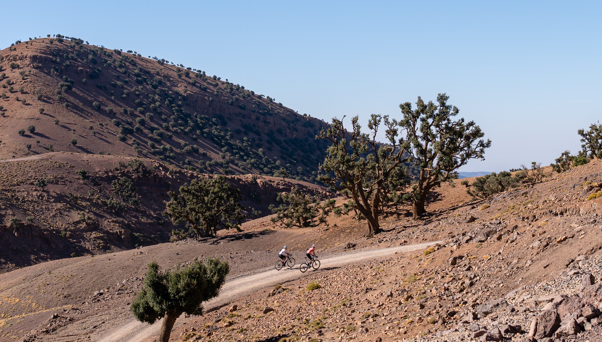 Two cyclists riding on a winding dirt road in a rocky, mountainous landscape with scattered trees under a clear blue sky.