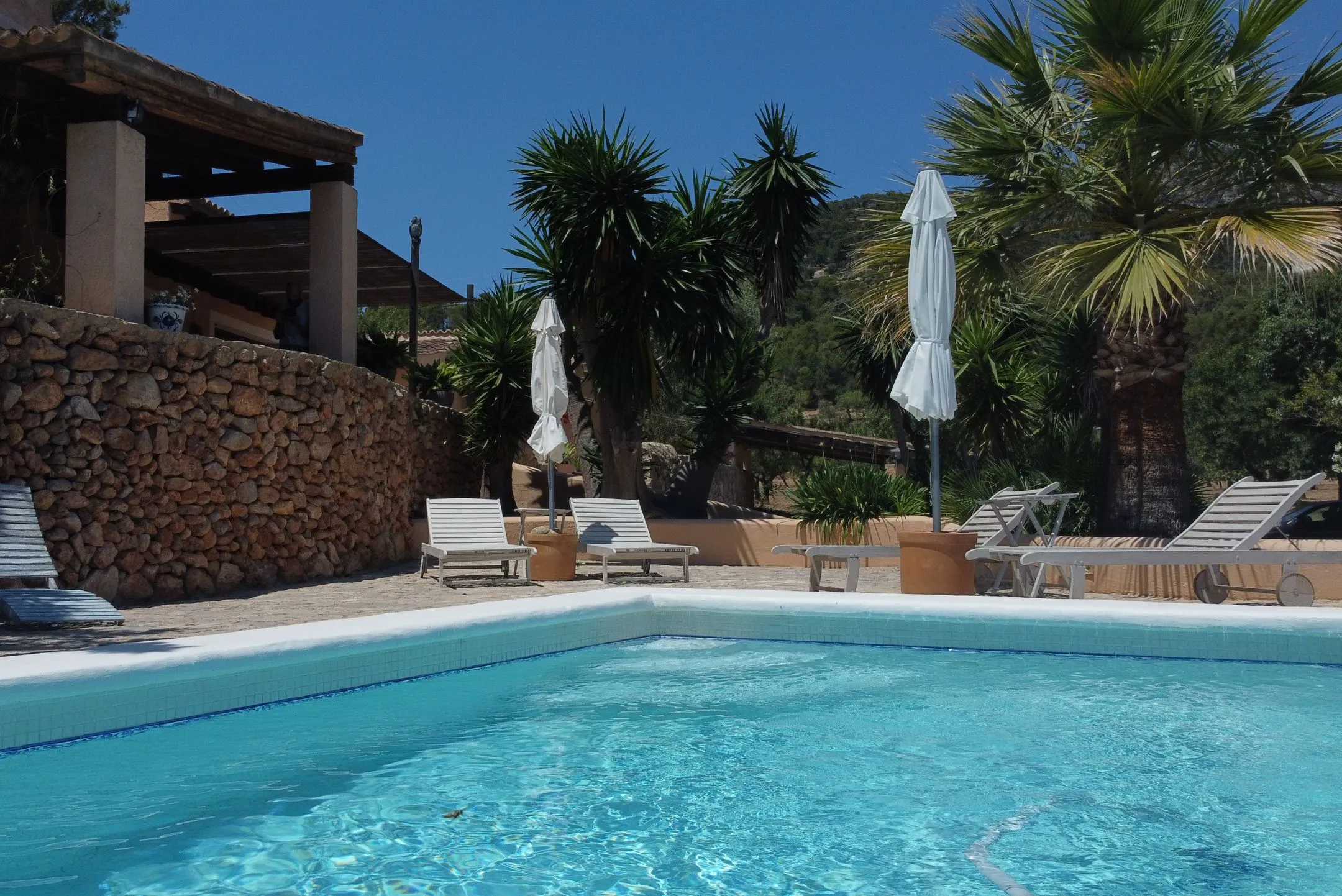 Outdoor swimming pool with clear blue water surrounded by white lounge chairs, closed umbrellas, palm trees, and a stone wall under a clear blue sky.