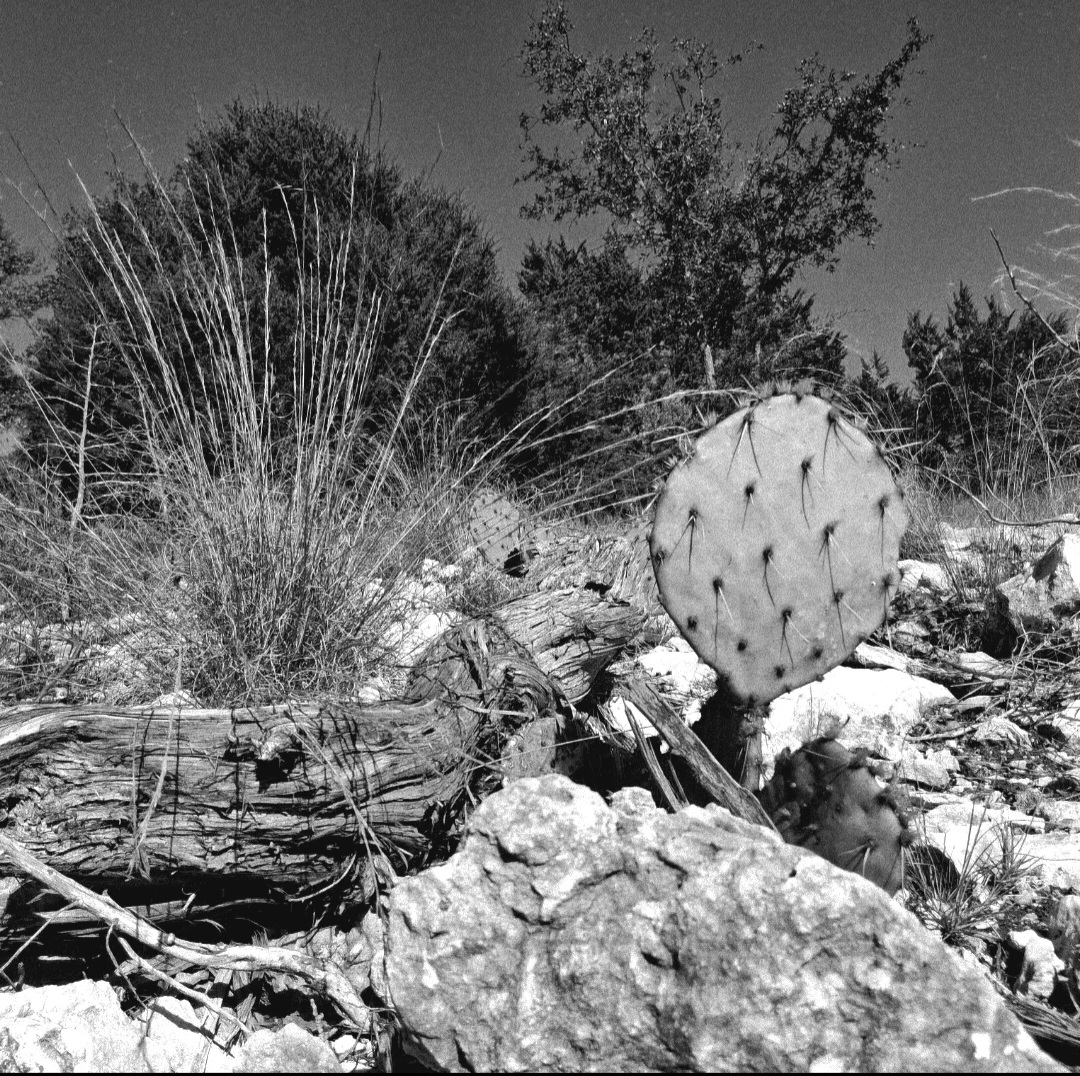 image of volunteer activities