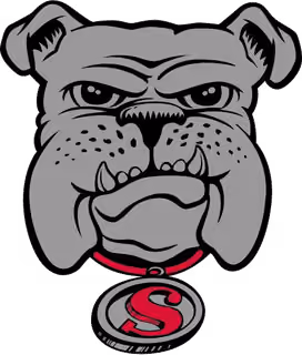 Sobrato High School