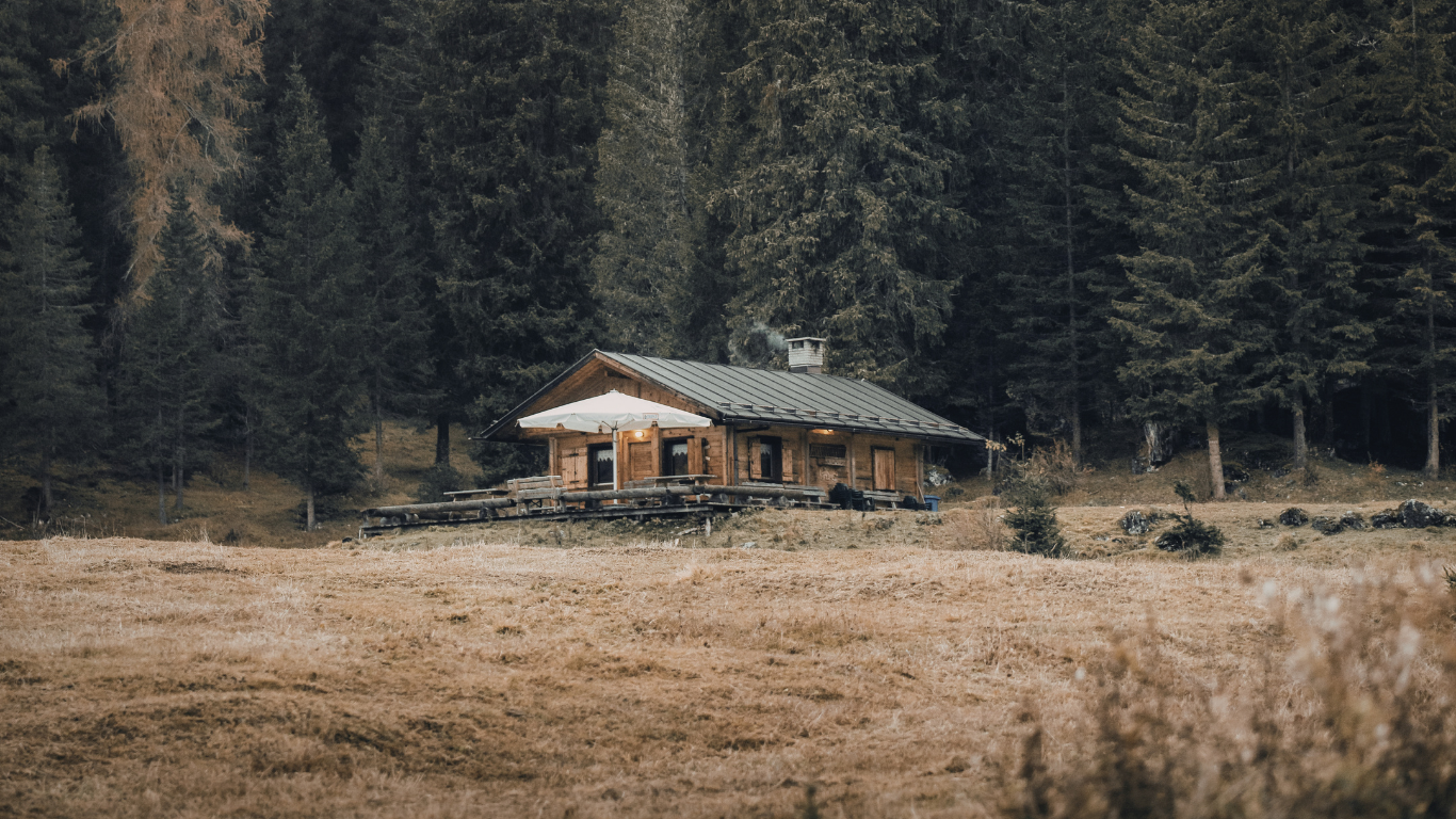 A wooden cabin with a chimney emitting smoke, situated in front of tall evergreen trees and an open grassy field.