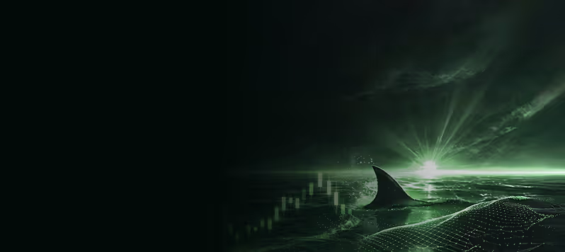 Shark fin emerging from digital water with green glowing data and sunset in the background.