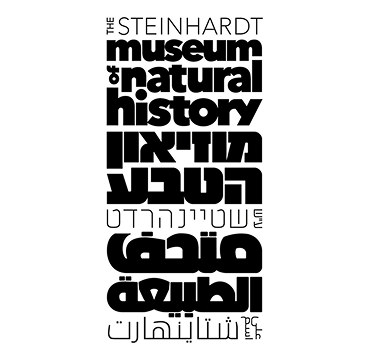 thumnail-image-experience