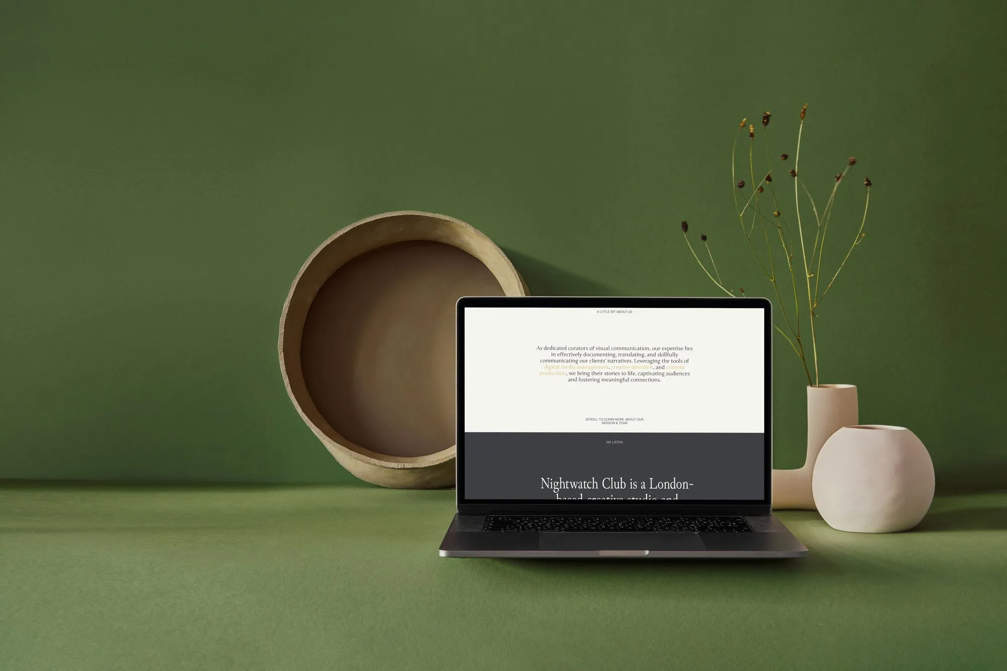 A laptop displaying the nightwatch website against a green wall