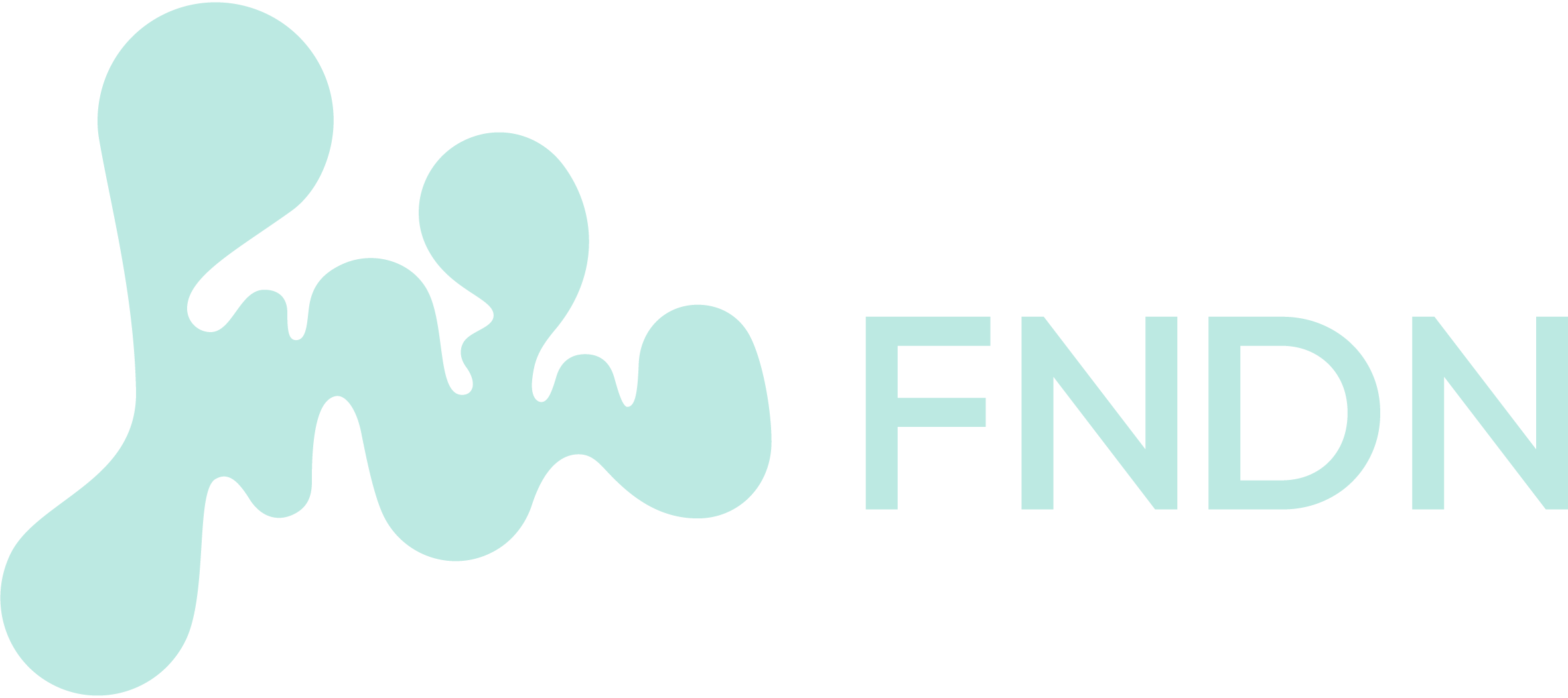 Platinum Sponsor Logo: FNDN