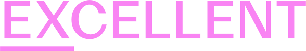 2025 Attendee Logo: Excellent