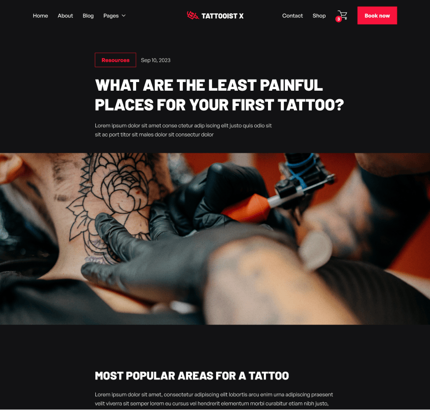 Image Page Hero Strip - Tattooist X Webflow Template
