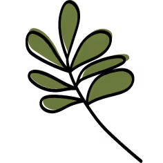 Abstrakte grüne Pflanzensilhouette mit neun ovalen Blättern auf schwarzem Hintergrund.