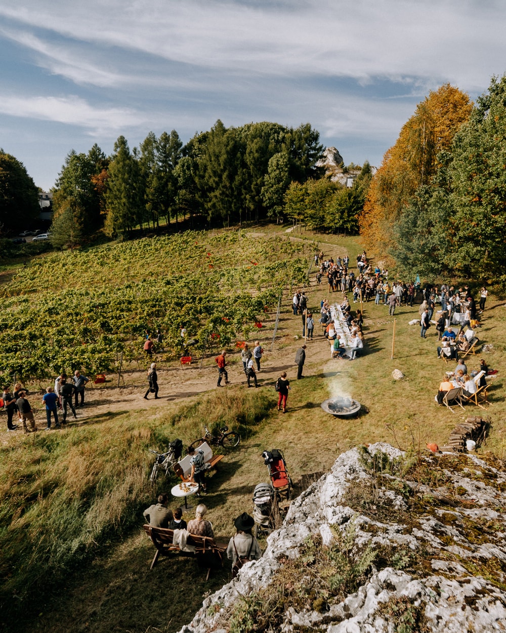 Outdoor gathering with people socializing and dining alongside a vineyard under a partly cloudy sky.