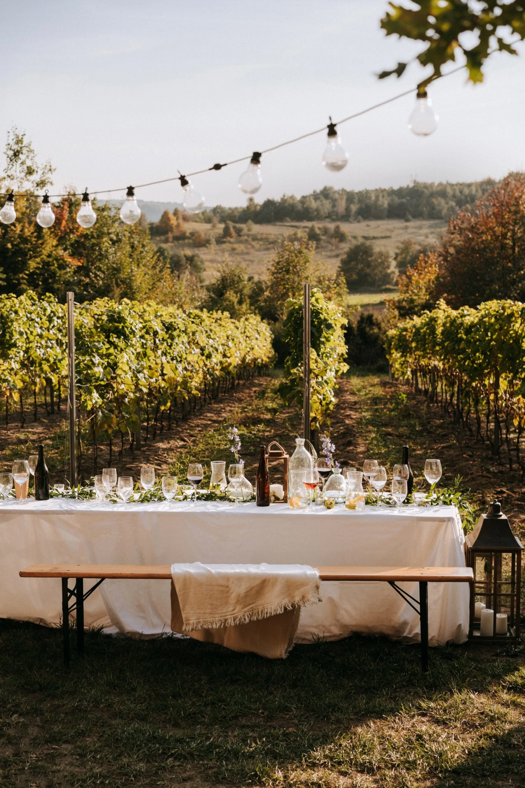 Outdoor dining table with white tablecloth and glassware set in a vineyard under string lights during sunset.