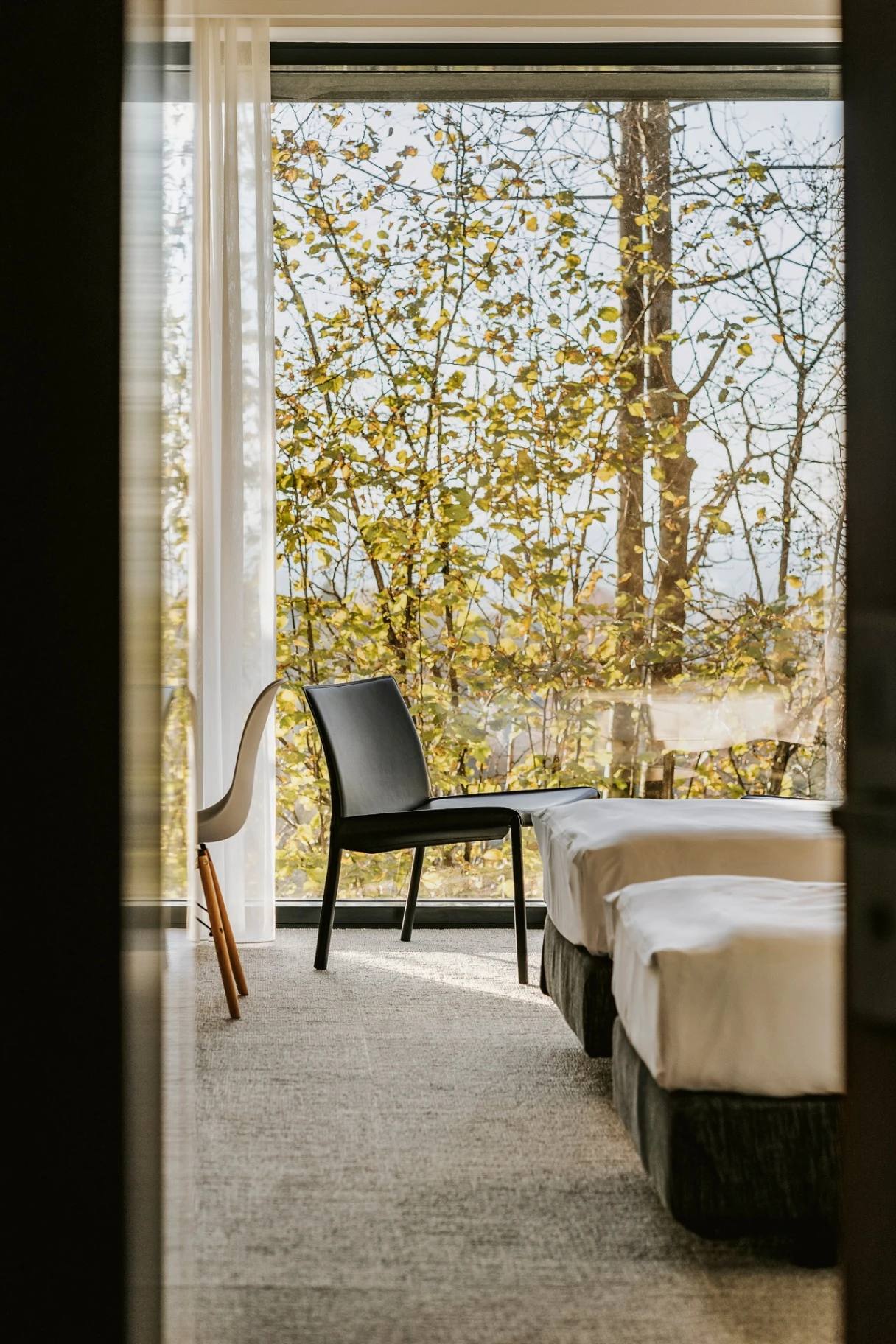 Modern bedroom with two beds, a black chair, a white chair, and large window showing autumn trees.