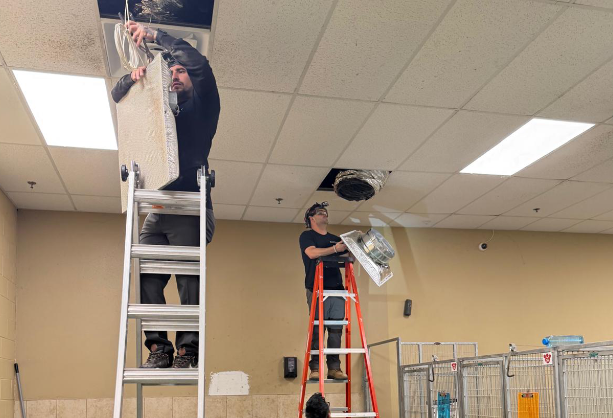 cleaning service